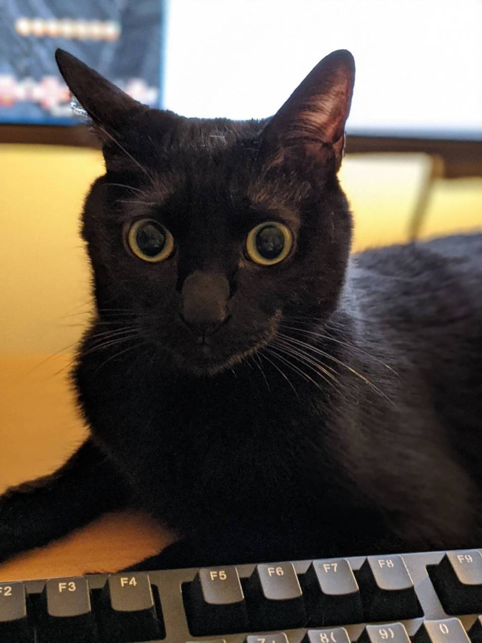 こころケアシリーズ：パ〜ト１　『深まる秋・マインドフルネスでこころを整える！！』